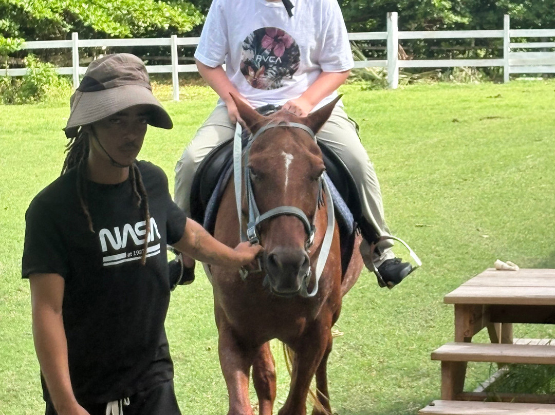 Ocean Echo Stables-Saint John Parish必去景点