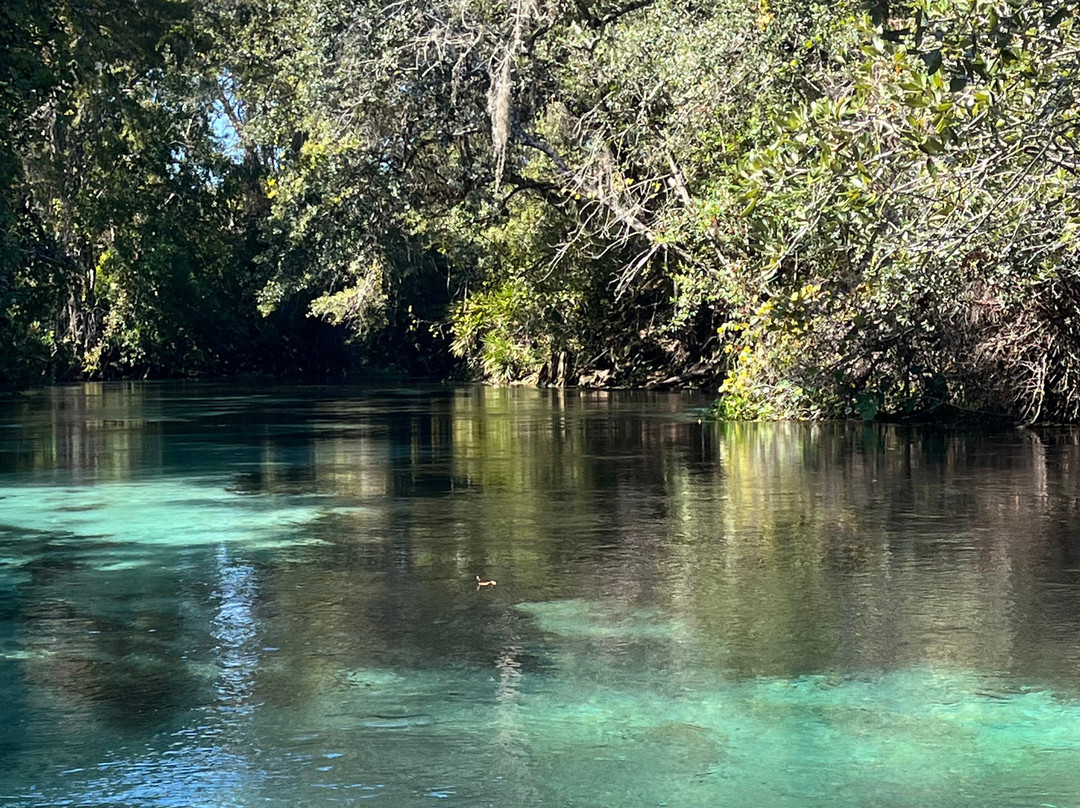 Weeki Wachee Springs-Weeki Wachee必去景点