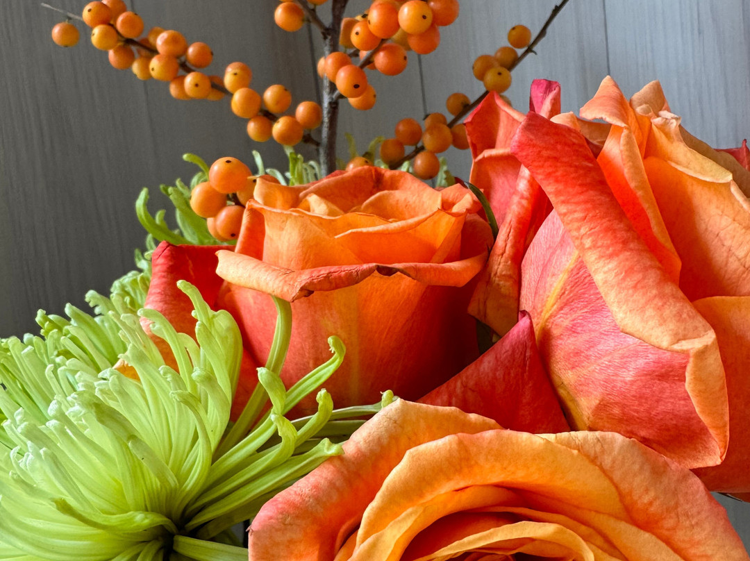 Foley Johnson Winery-拉瑟福德必去景点