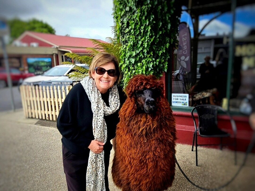 Sheffield Visitor Information Centre-谢菲尔德必去景点