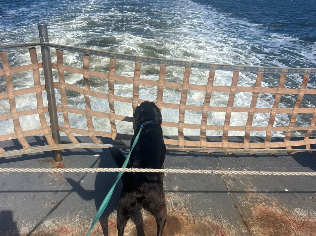 Southport-Fort Fisher Ferry-Southport必去景点
