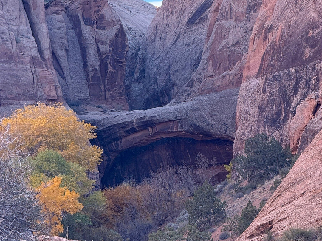 Grandstaff Canyon Trail-莫阿布必去景点
