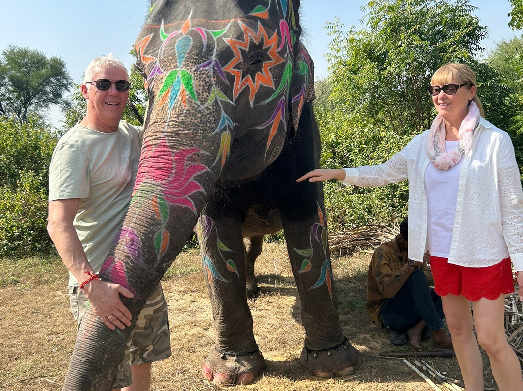 Elefanjoy Elephant Sanctuary-斋蒲尔必去景点