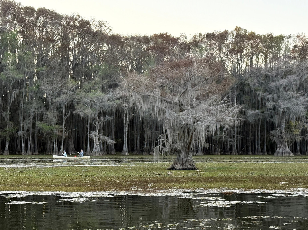 Captain Ron's Swamp Tours-Karnack必去景点