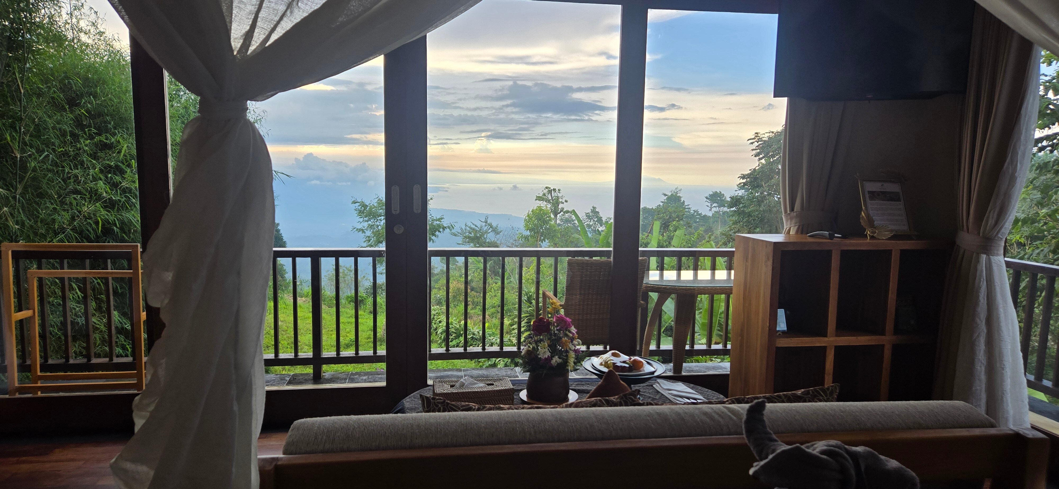 莫鼎人工林酒店-客卧