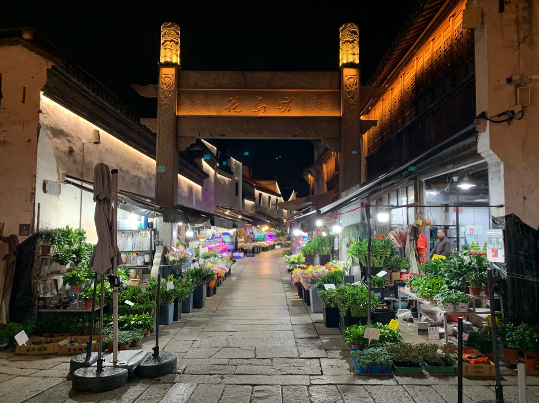 月河街-嘉兴市必去景点