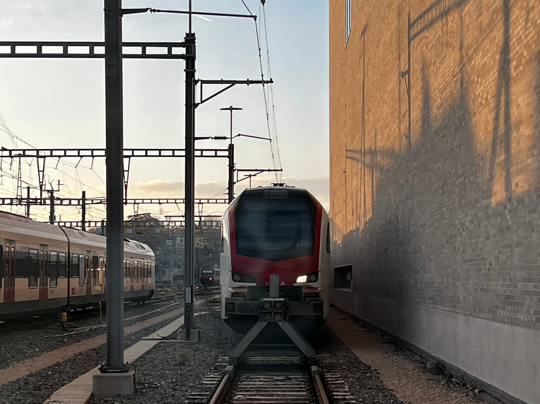 Musée Cantonal des Beaux-Arts-洛桑必去景点