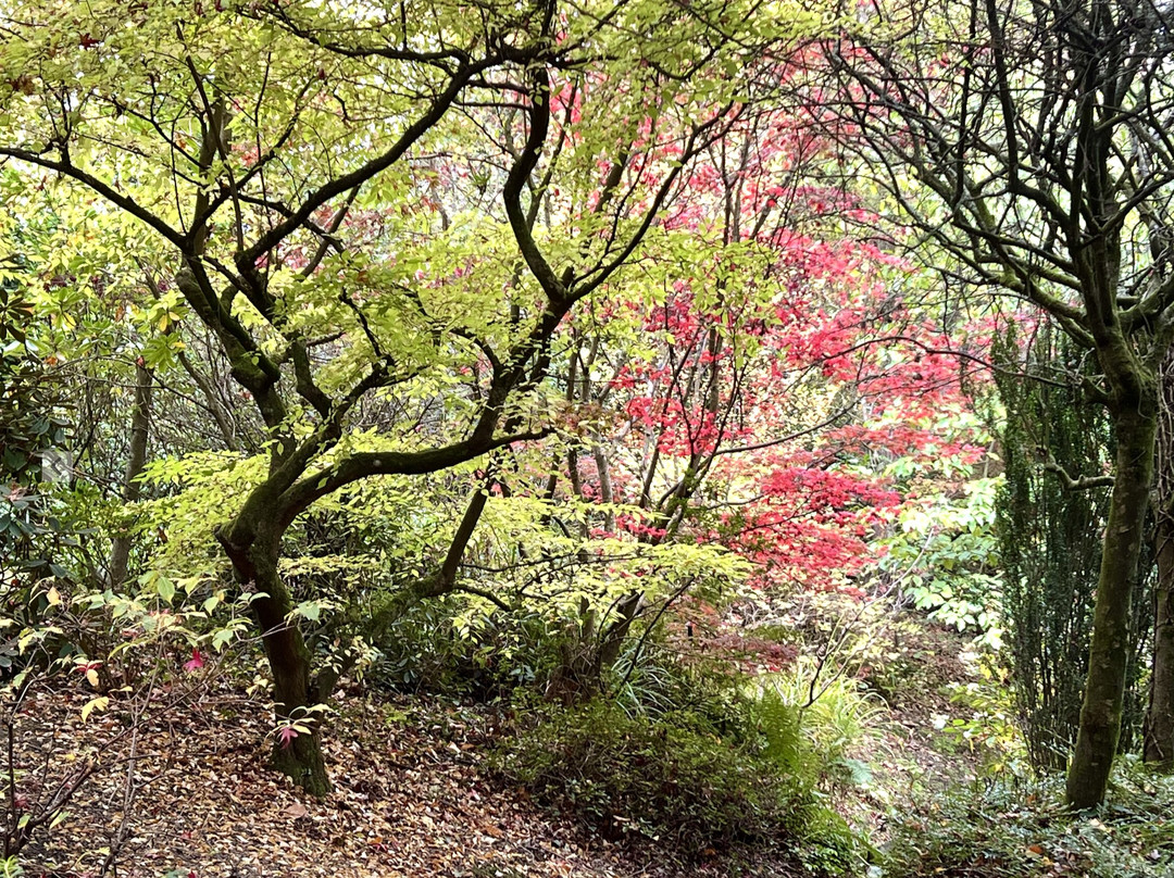 Dingle Nursery And Garden-Welshpool必去景点