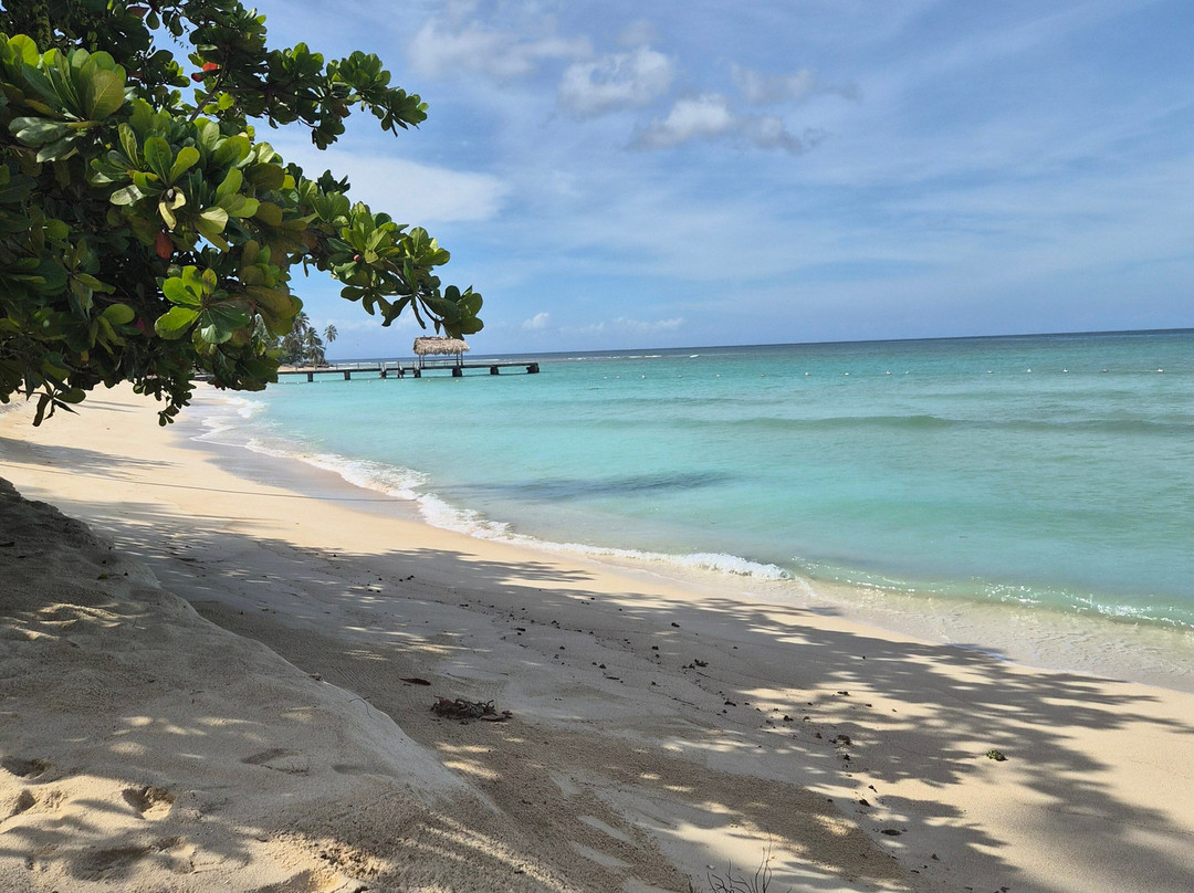 Shepherd's Inn主图