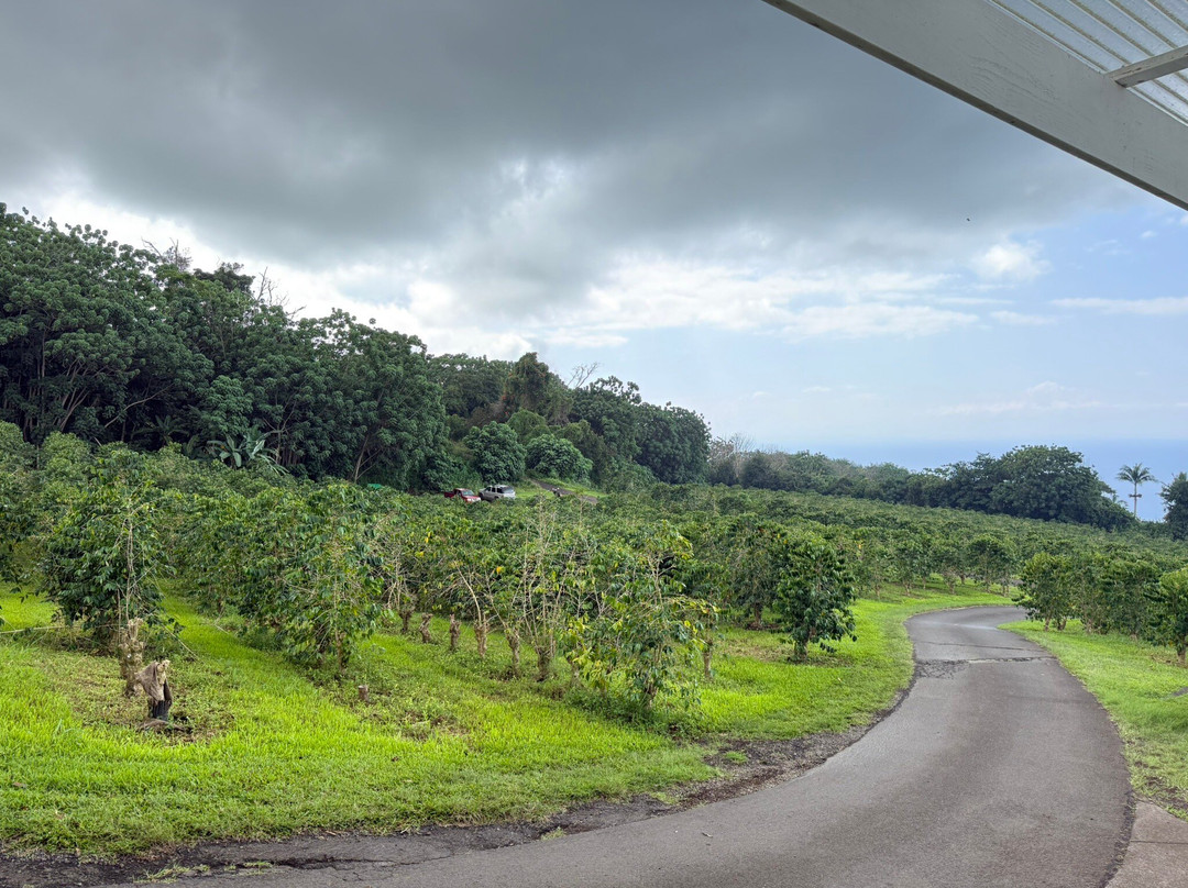 夏威夷仙境农场-哈陆亚洛亚必去景点