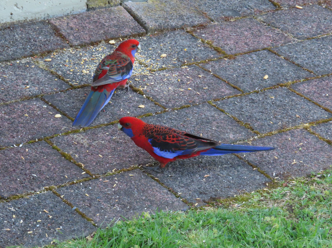 Edgewater Terraces at Metung主图