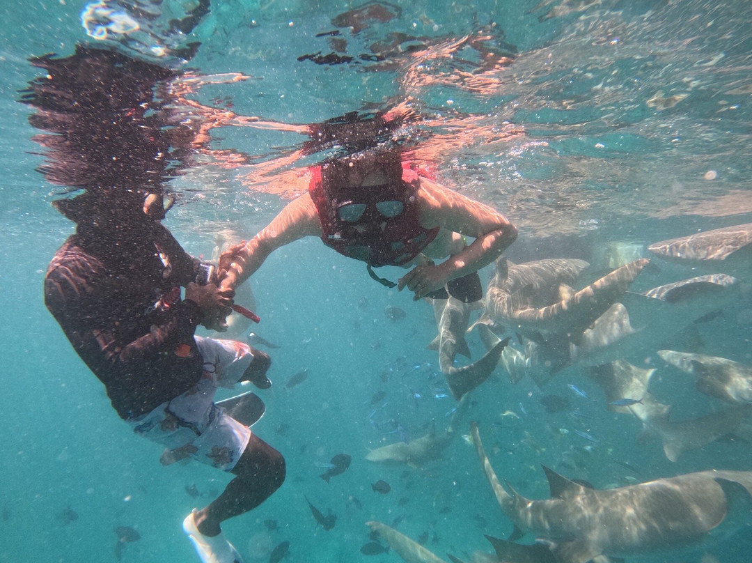 iCom Tours - Private Day Tours-马富士岛必去景点