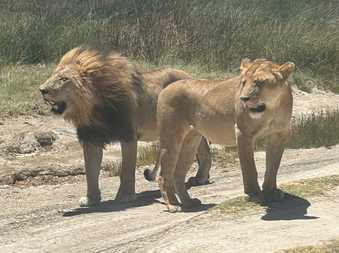 Peak Planet-莫西必去景点