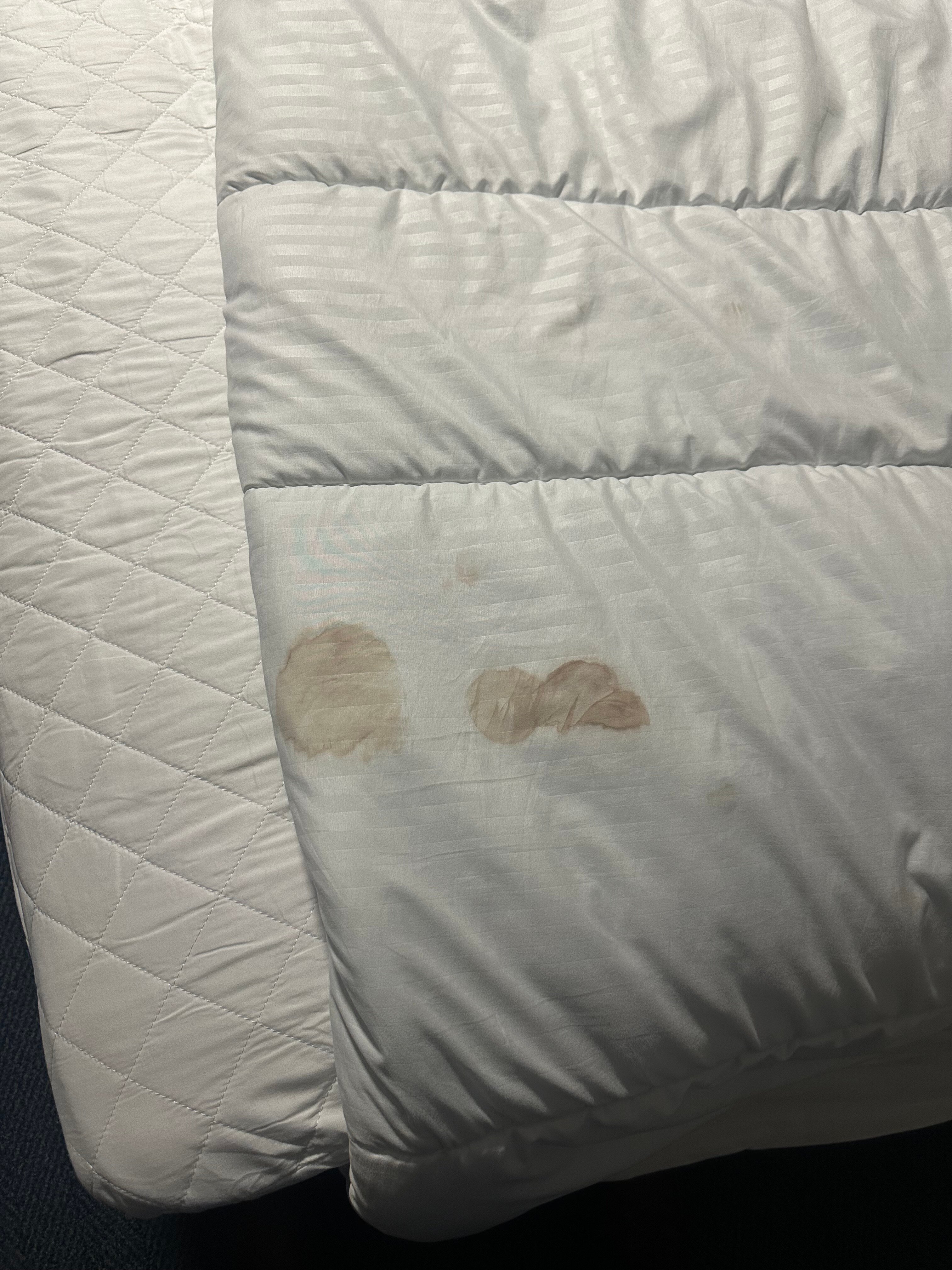 Travelodge Edinburgh Dreghorn-官方