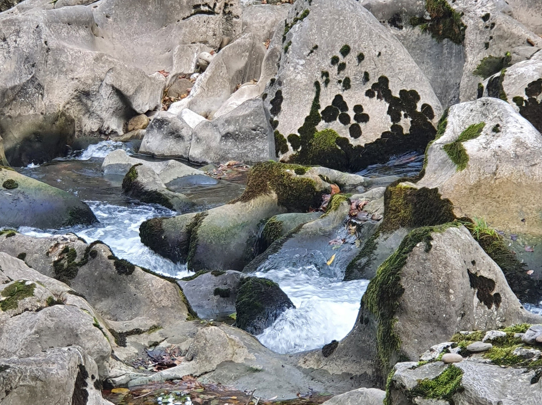 Pasarela del Rio Pas-Puente Viesgo必去景点