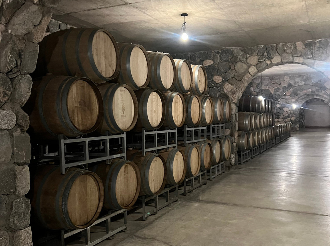 Viñas En Flor Bodega-卡法亚特必去景点