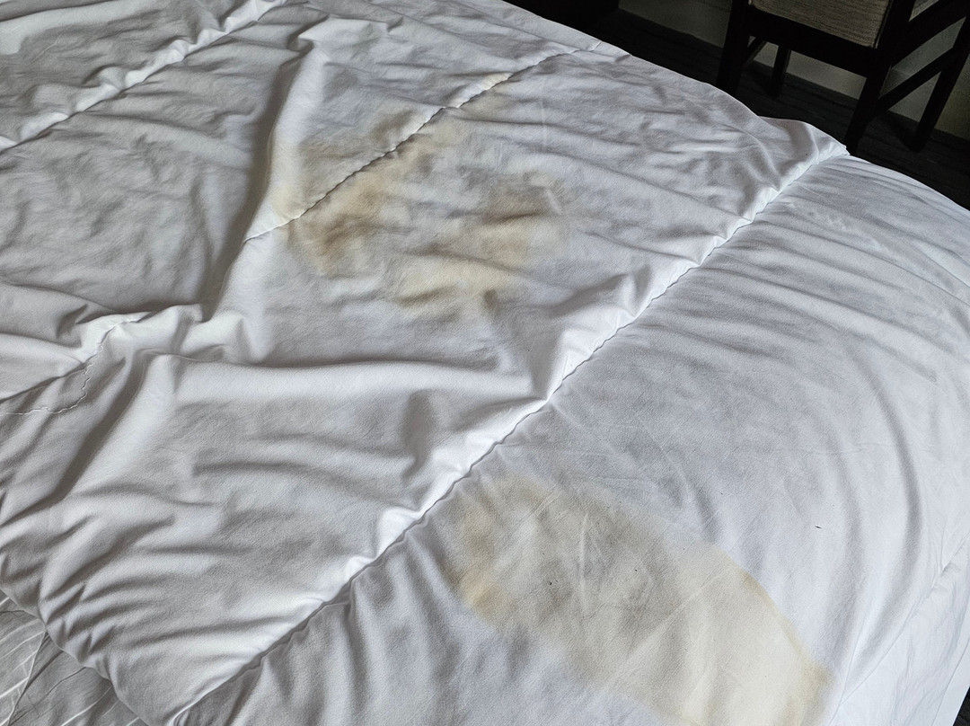 Premier Inn Perth City Centre Hotel主图