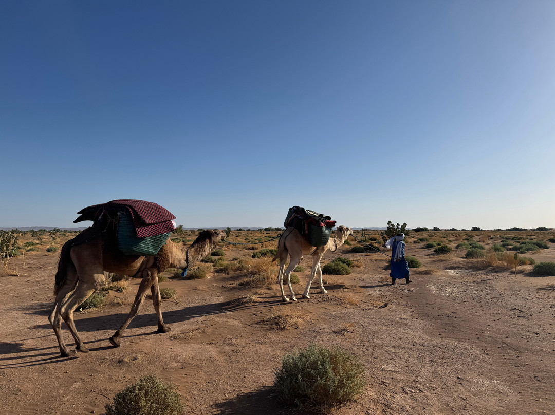 Chegaga spirit-迈哈米德必去景点