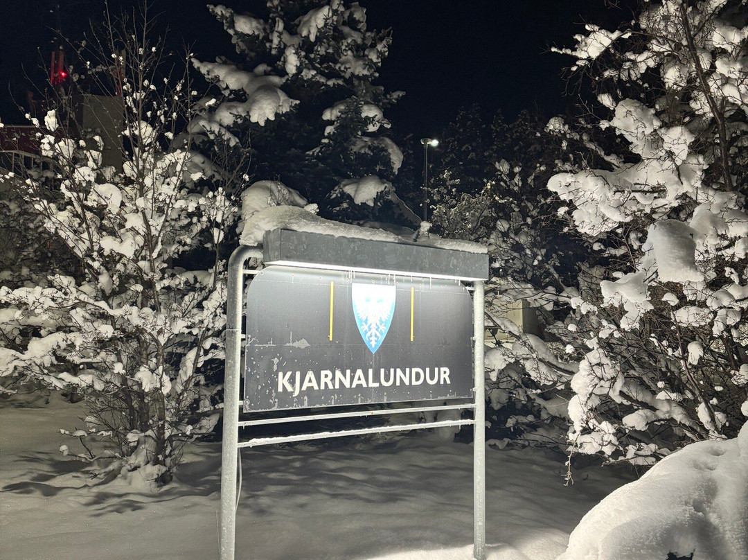 贾尔纳伦杜酒主图