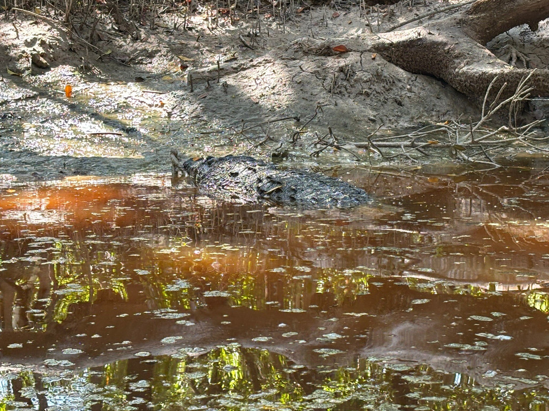 Guardianes De Los Manglares De Dzinintún-塞莱斯顿必去景点
