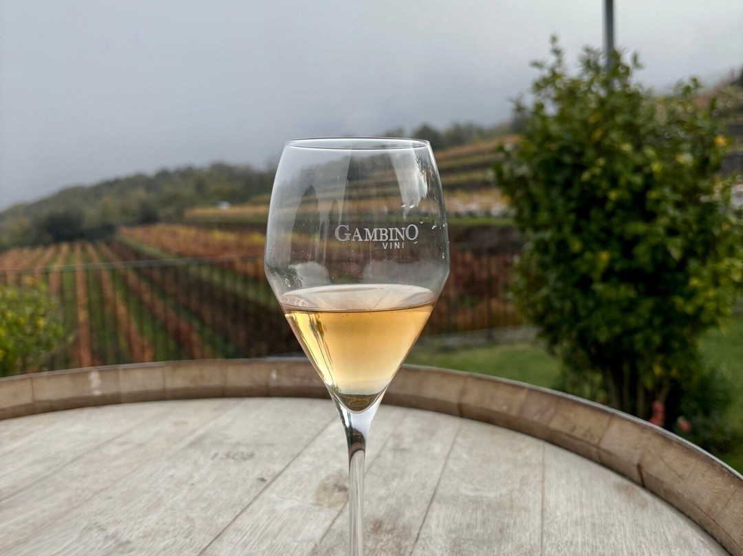 Gambino Winery-林瓜格洛萨必去景点