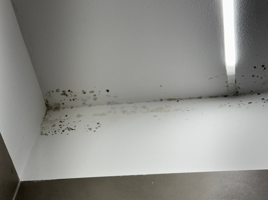 艾尔格亚迪诺酒店主图