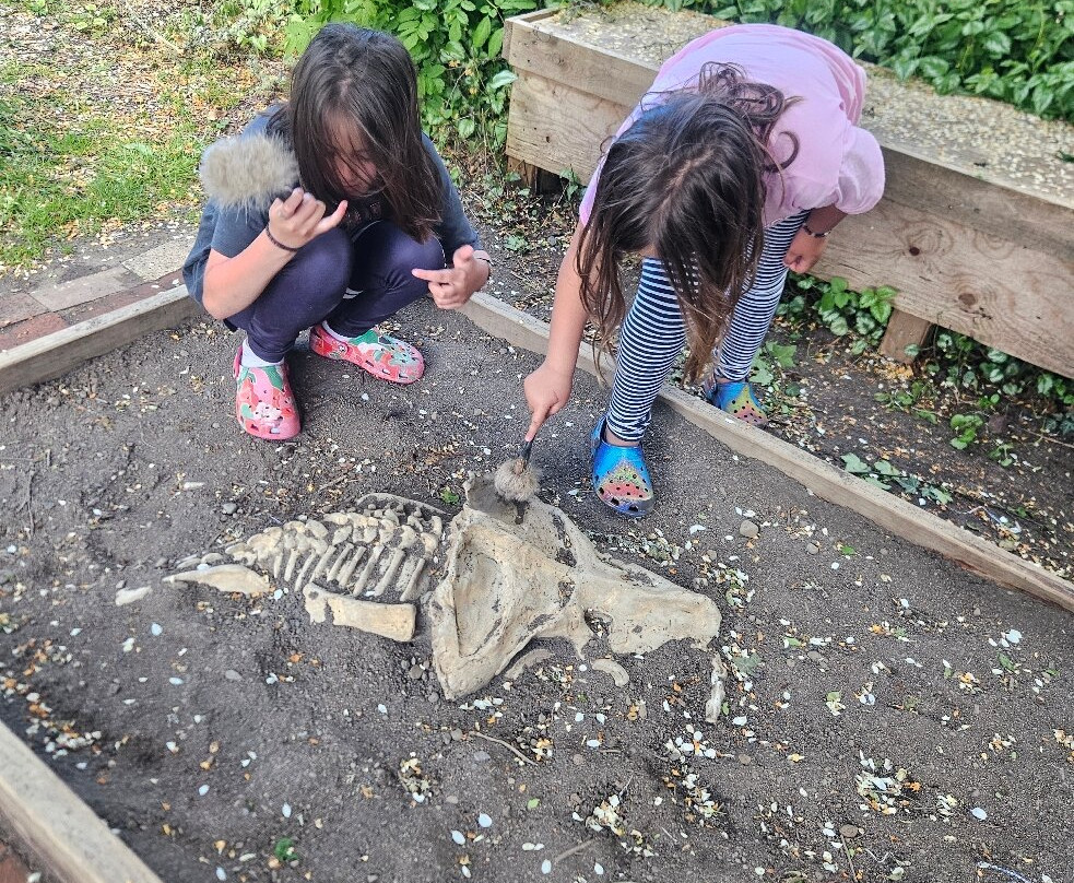 Dinosaur House-Raetihi必去景点