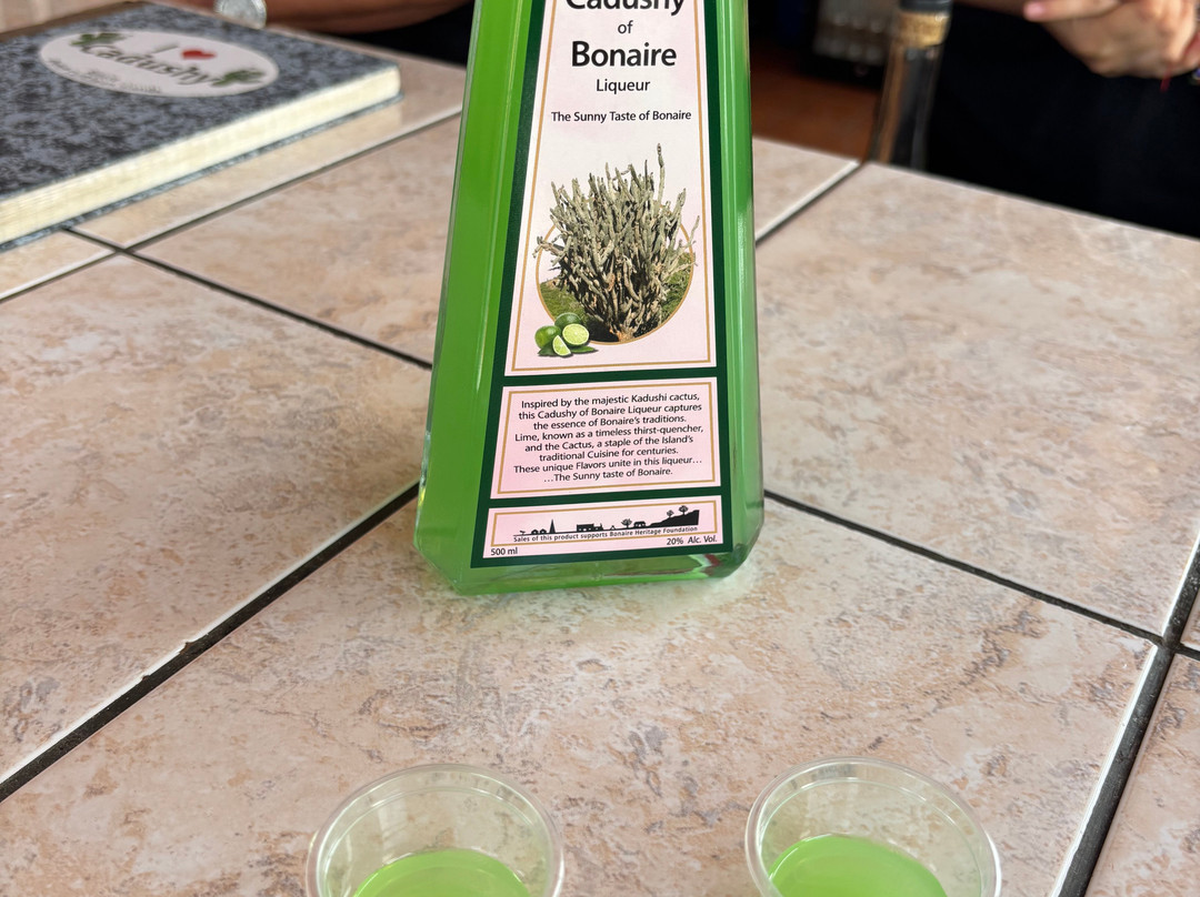 The Cadushy Distillery-Rincon必去景点