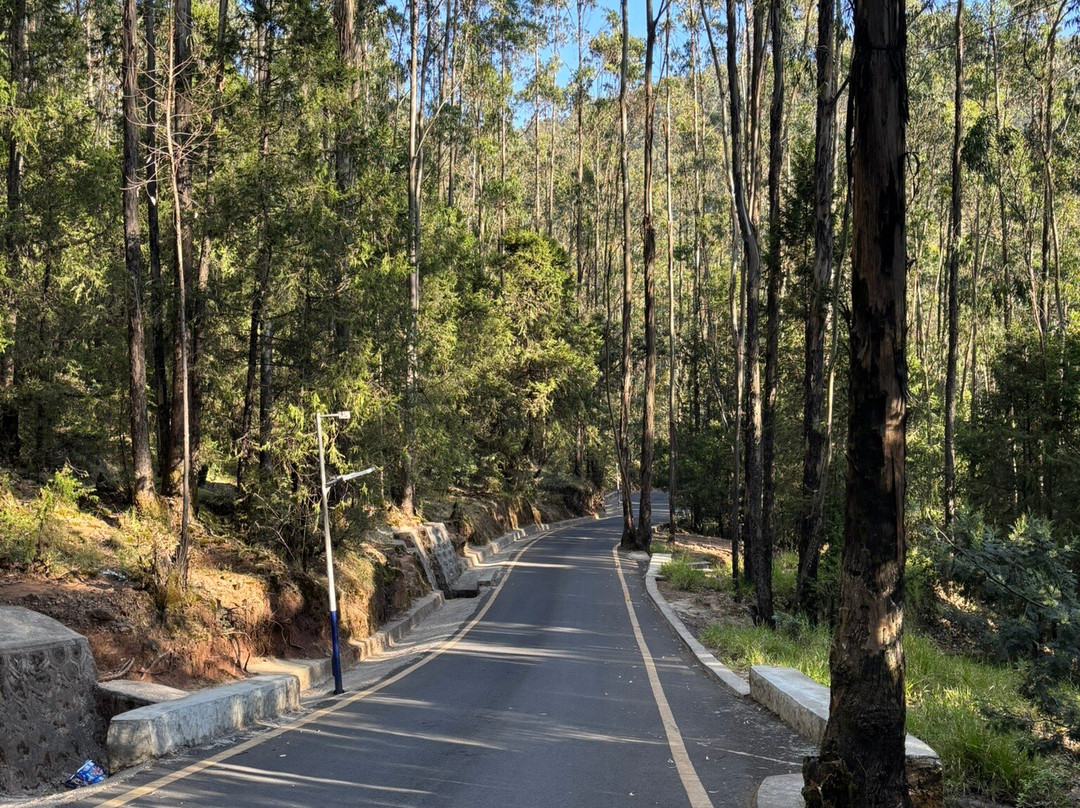 Kuriftu Entoto Adventure Park-亚的斯亚贝巴必去景点