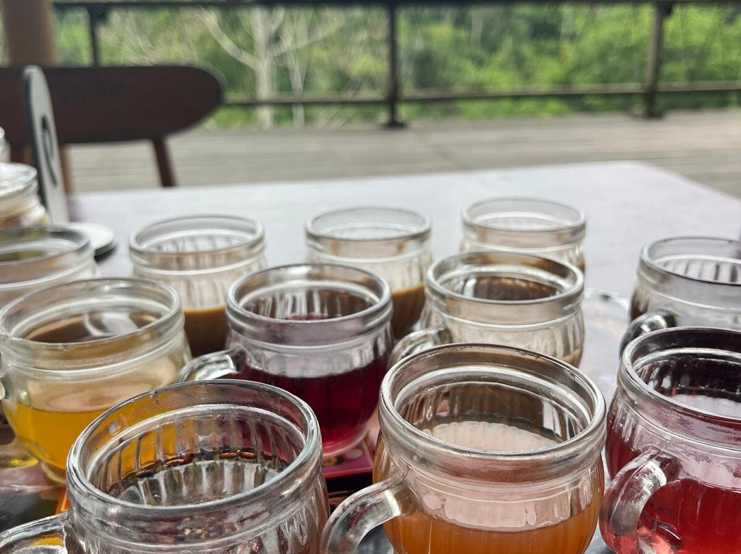 Bali Qhiu Holiday-登巴萨必去景点