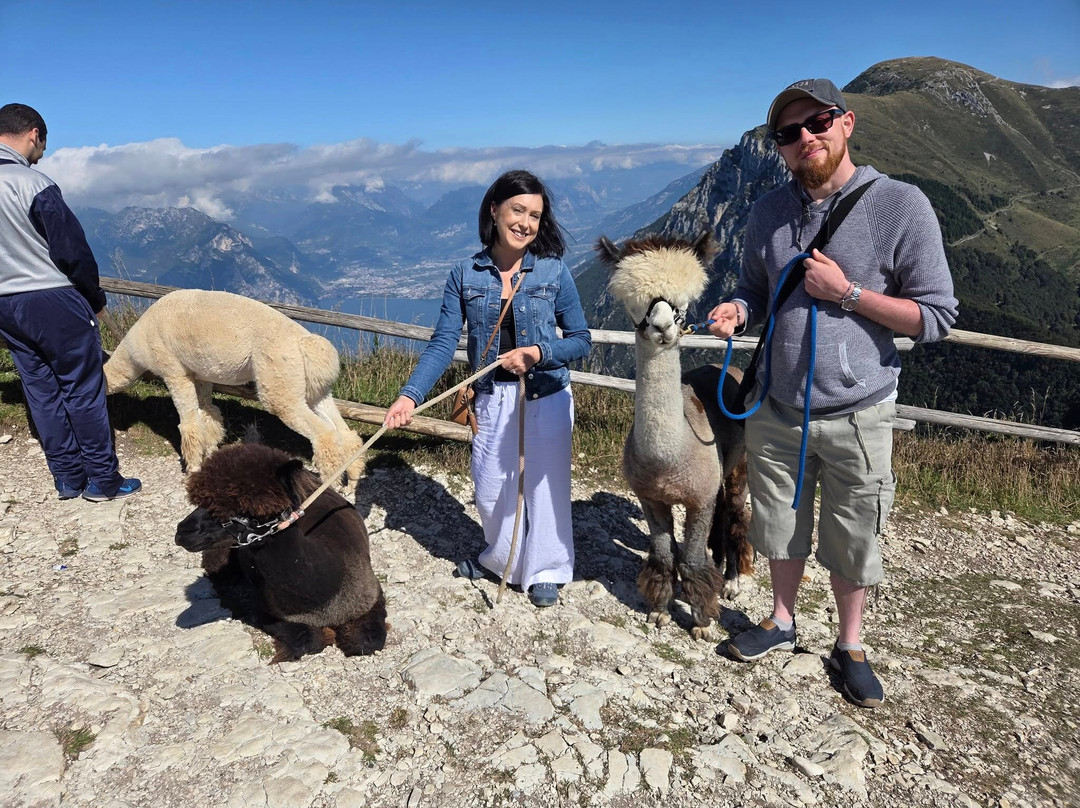 Elalpaca-马切尔西涅必去景点