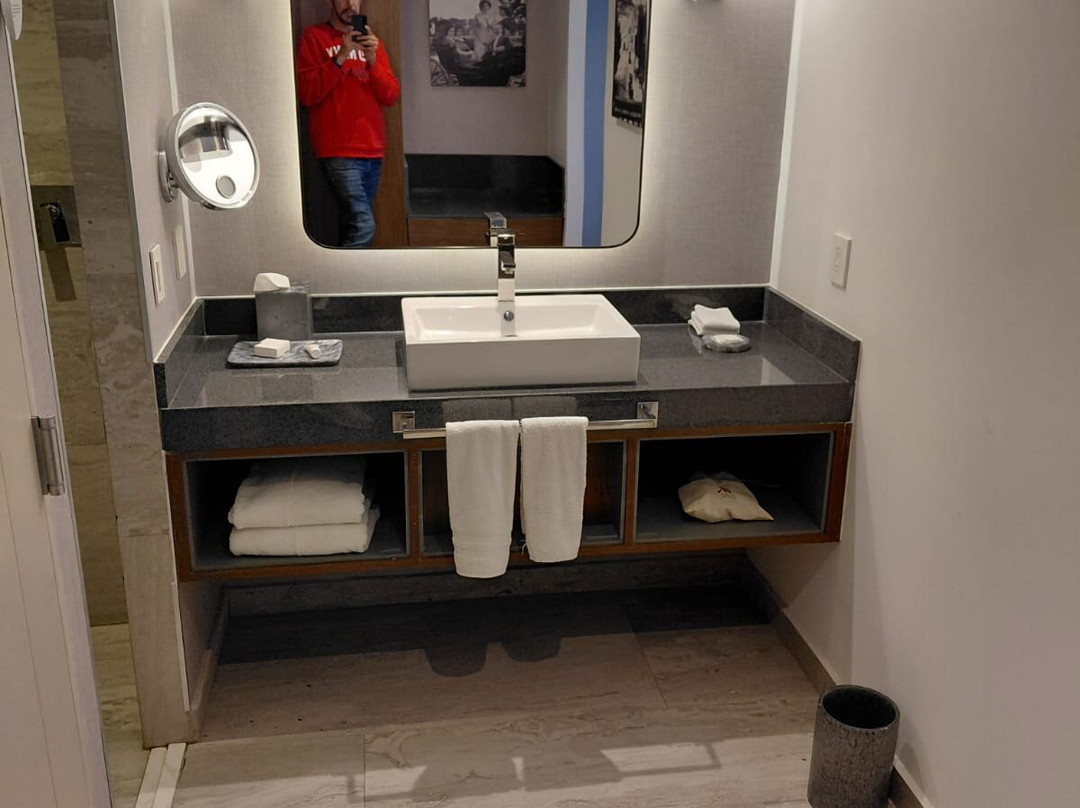 Culiacan Marriott Hotel主图