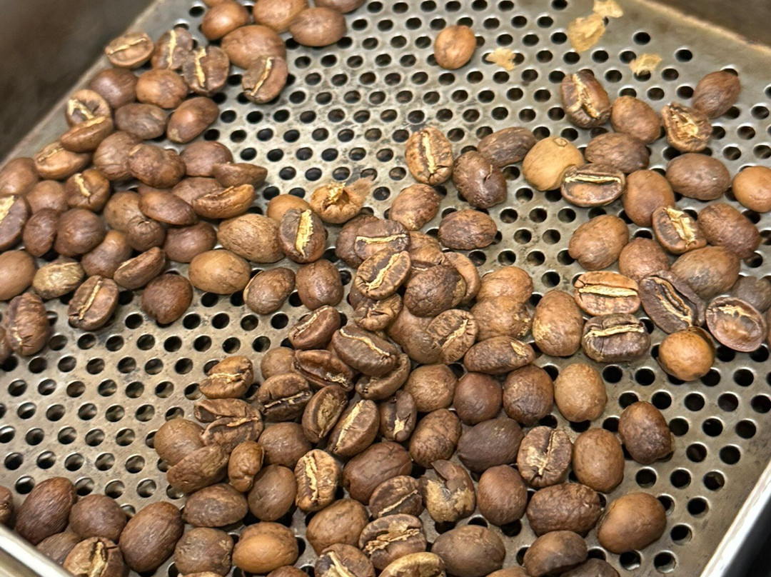 Espresso Academy-佛罗伦萨必去景点