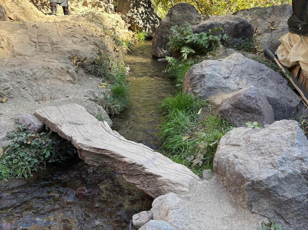 Journey Beyond Travel-Ifrane必去景点