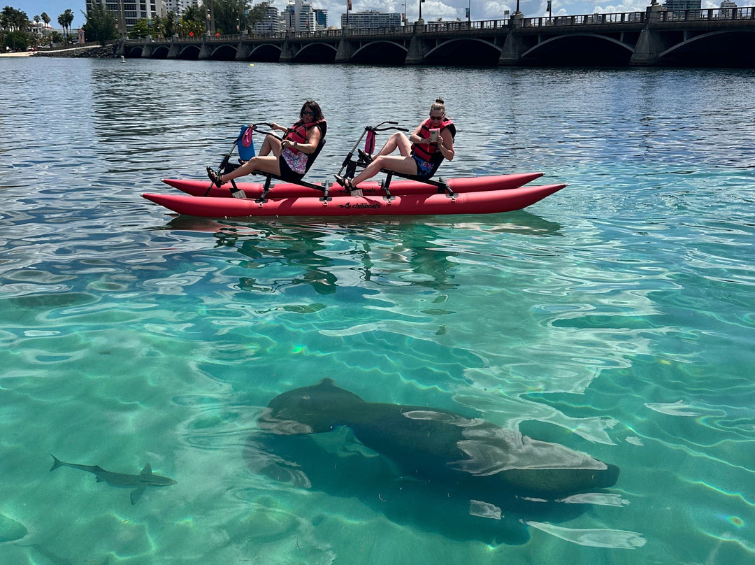 Condado Lagoon Water Bike Tour – Chiliboats-圣胡安必去景点