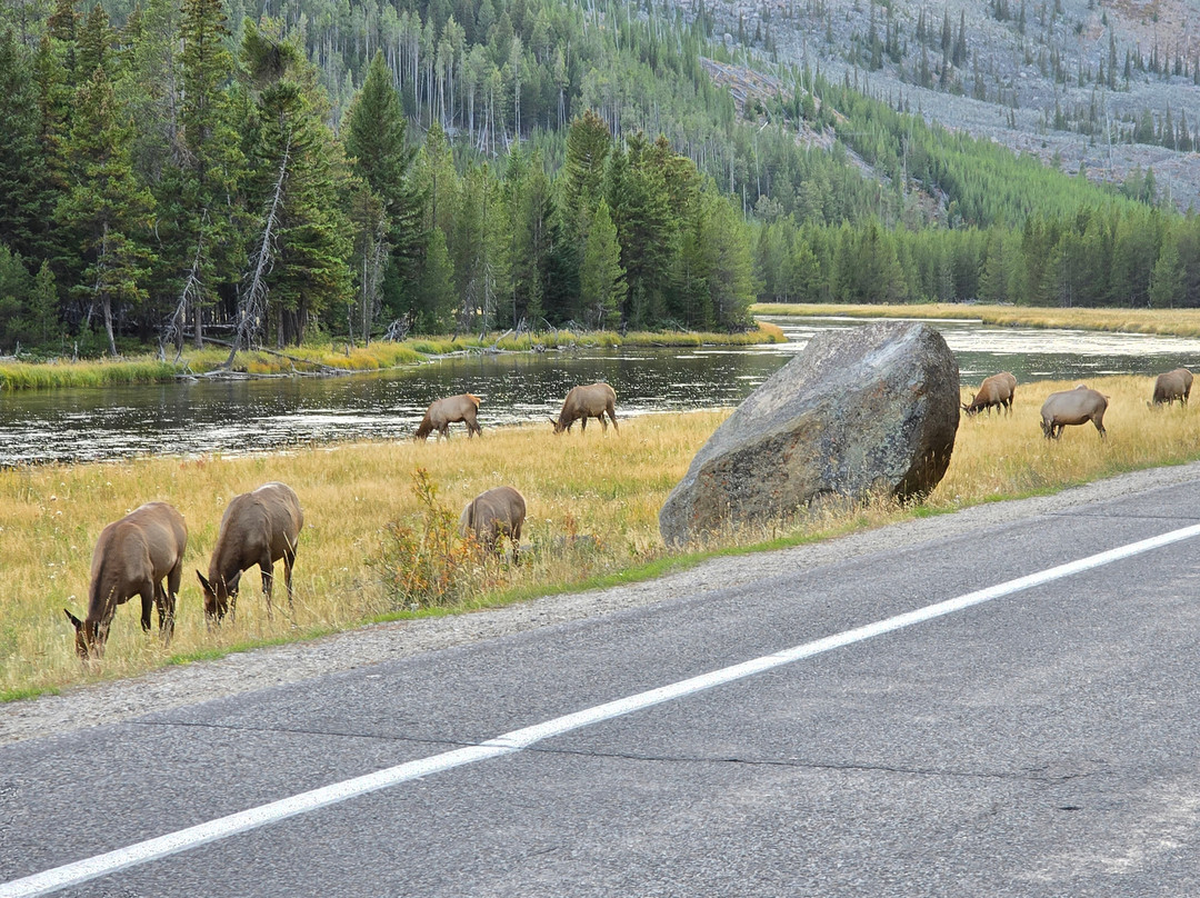 火洞峡谷车道-黄石国家公园必去景点