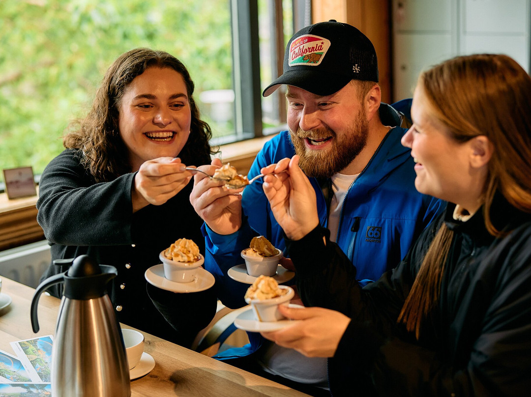 Wake Up Reykjavik-雷克雅未克必去景点