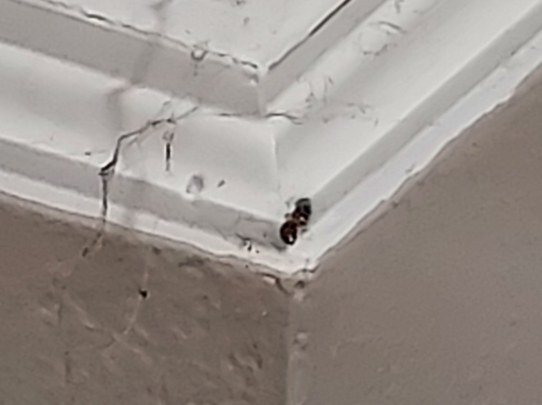 Days Inn by Wyndham Lenoir City主图