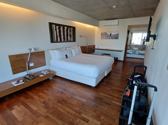 萨尔塔花样套房主图