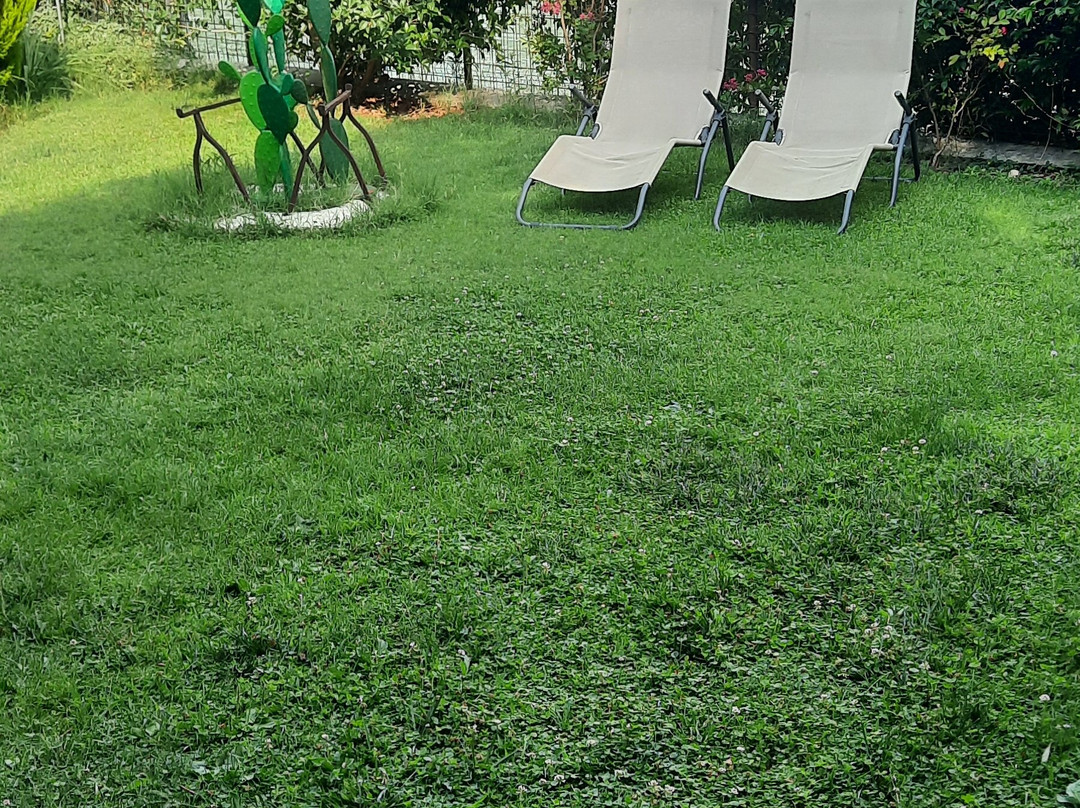 Relais San Michele主图