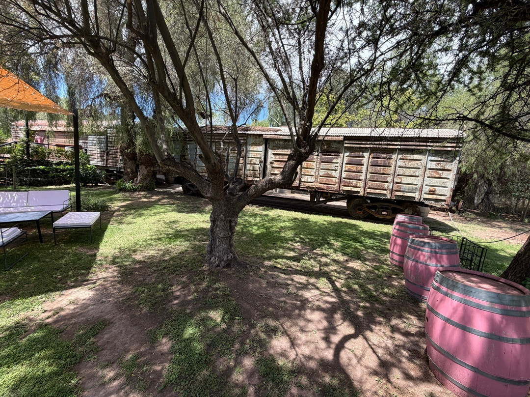 Bodega Trapiche-门多萨必去景点