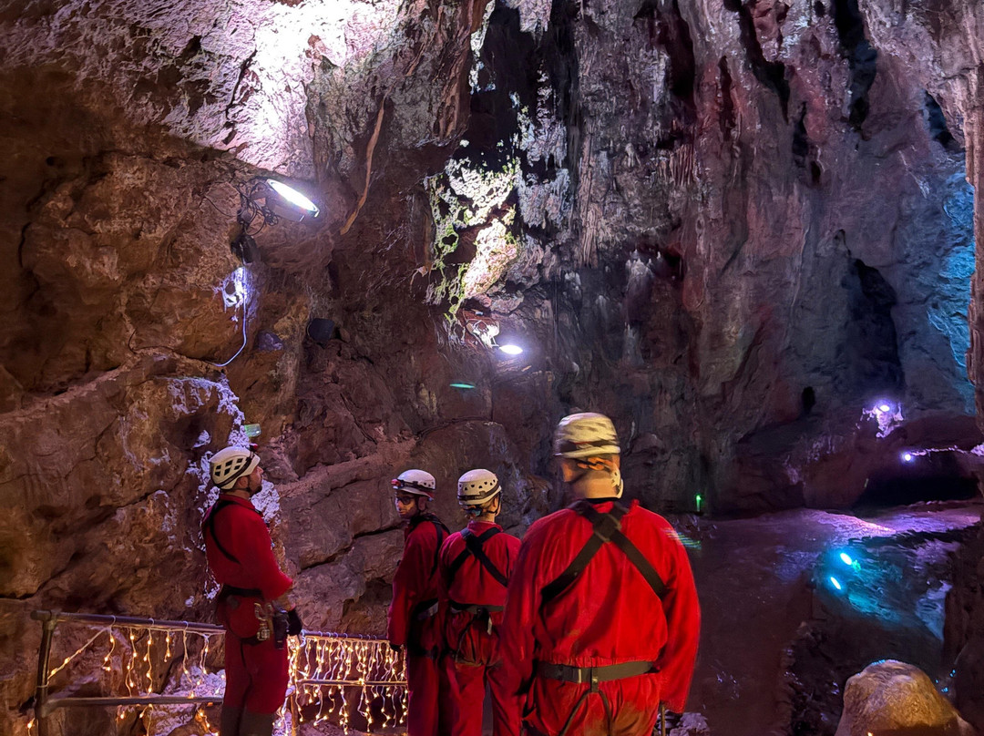 Wild Wookey-韦尔斯必去景点