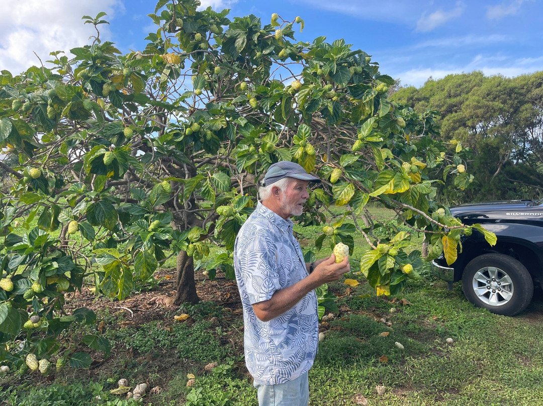 Hawaiian Organic Noni-基拉韦厄必去景点