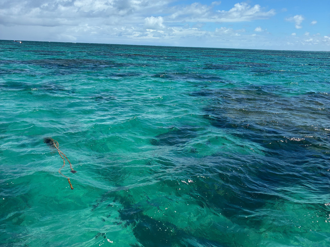 Parrachos Praia Clube-Maxaranguape必去景点