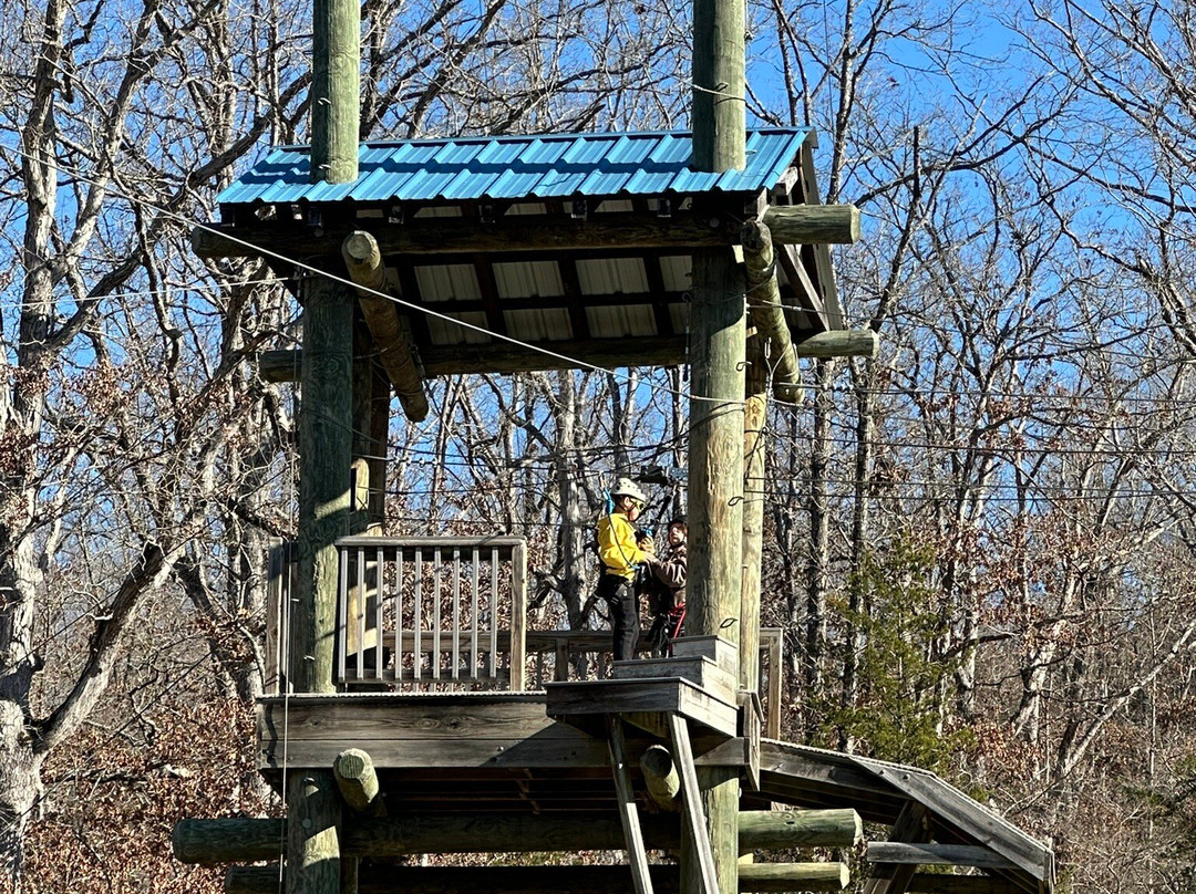 Branson Zipline at Wolfe Mountain-Walnut Shade必去景点