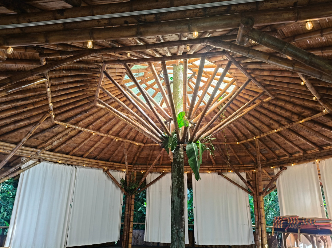 Cerro Tusa Springs主图