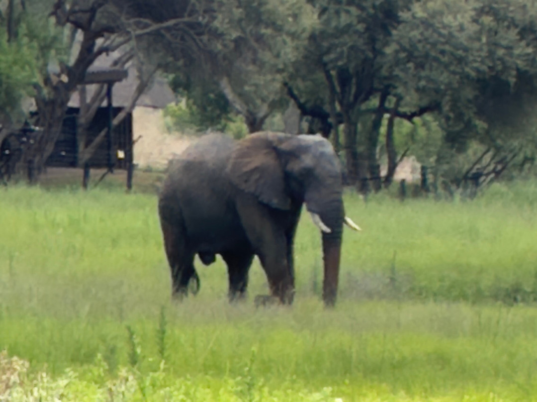 Loisico Tours and Excursions-Bloubergstrand必去景点