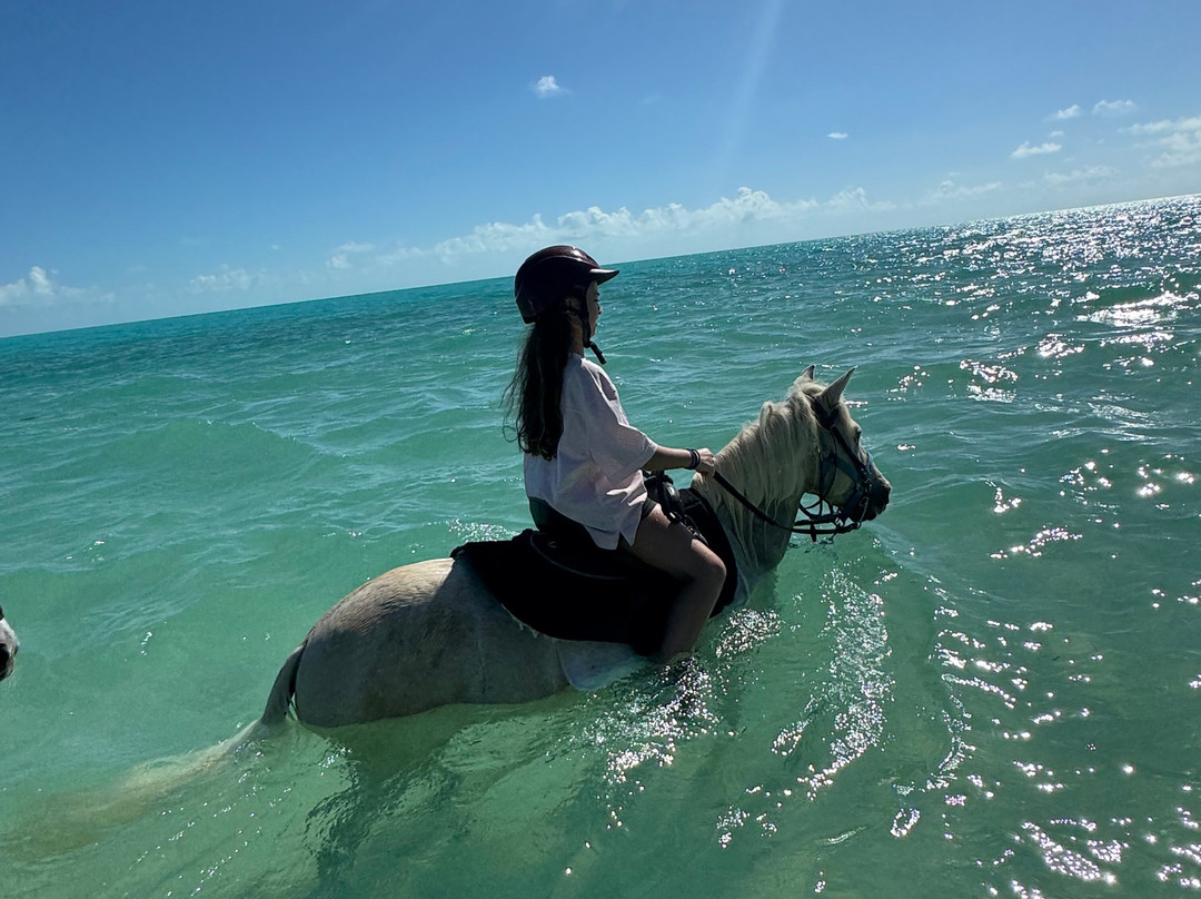 Provo Ponies-Long Bay Hills必去景点