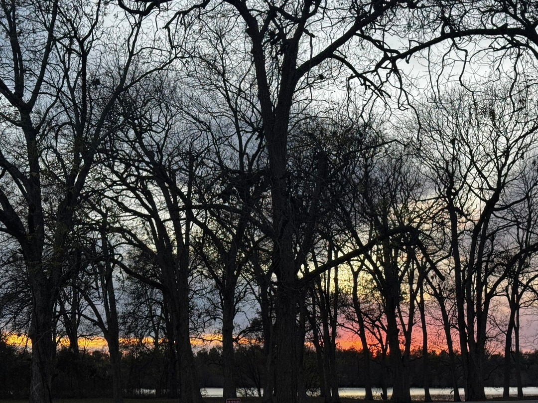 Lake Chicot State Park-Lake Village必去景点