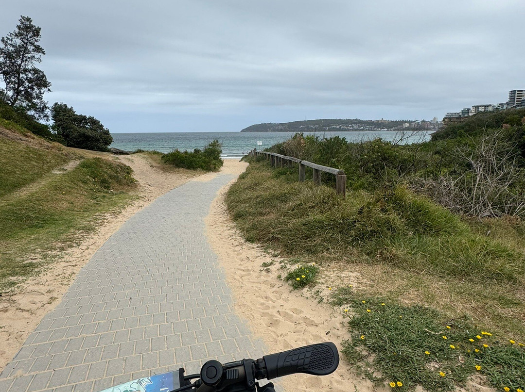 Manly Bikes and Manly Bike Tours-曼利议会必去景点